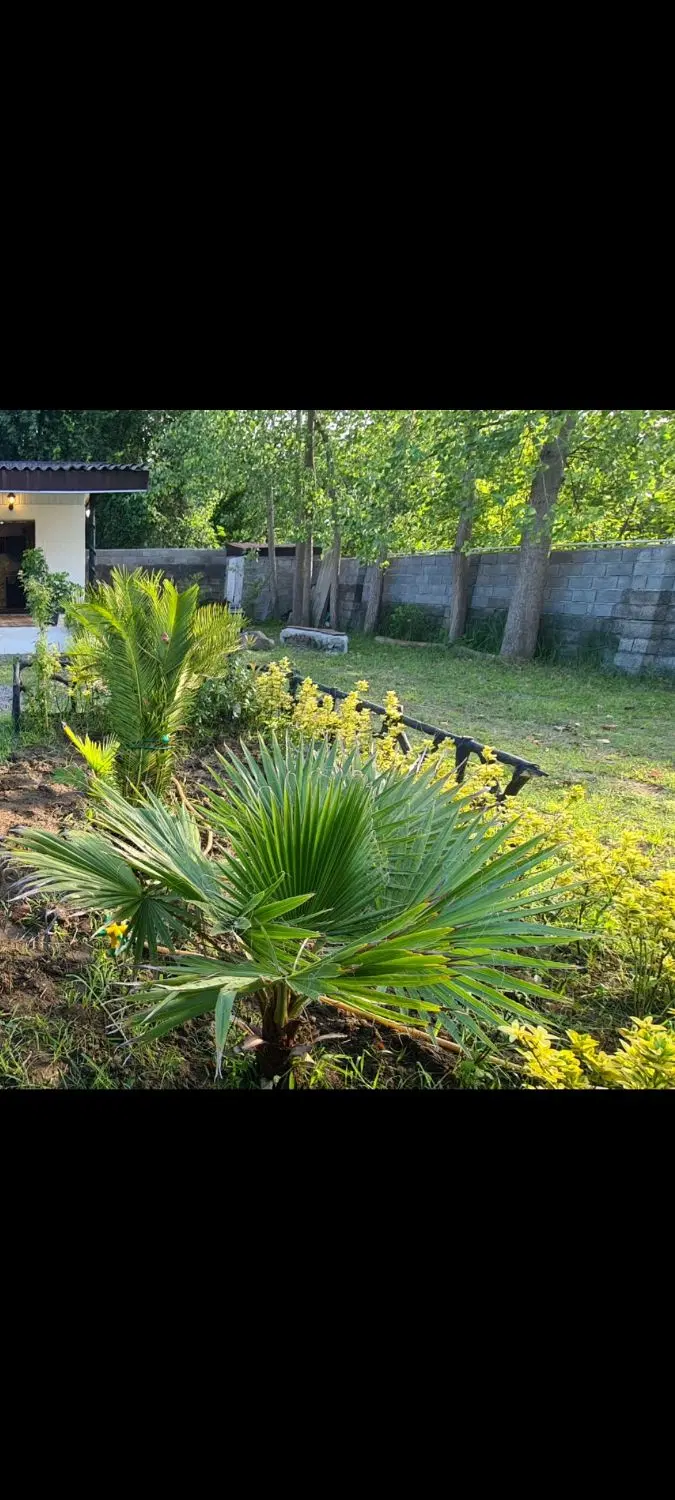 تصویر املاک 62042