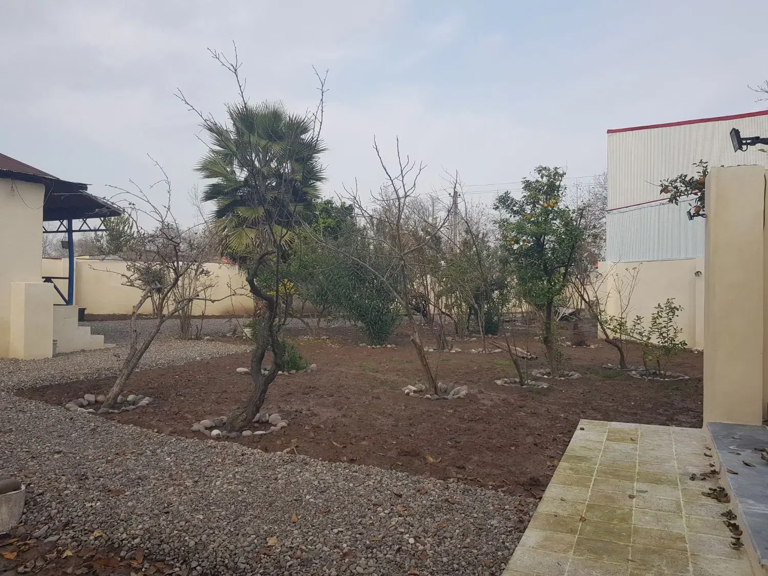 تصویر املاک 66665