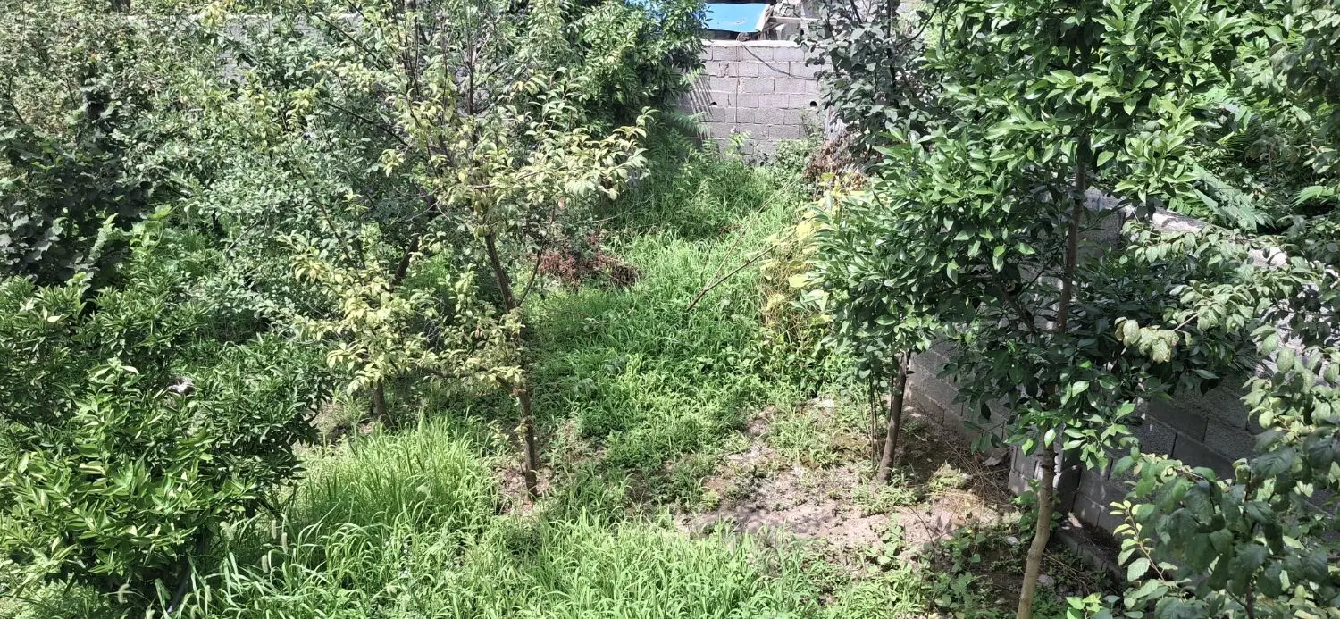 تصویر املاک 76389