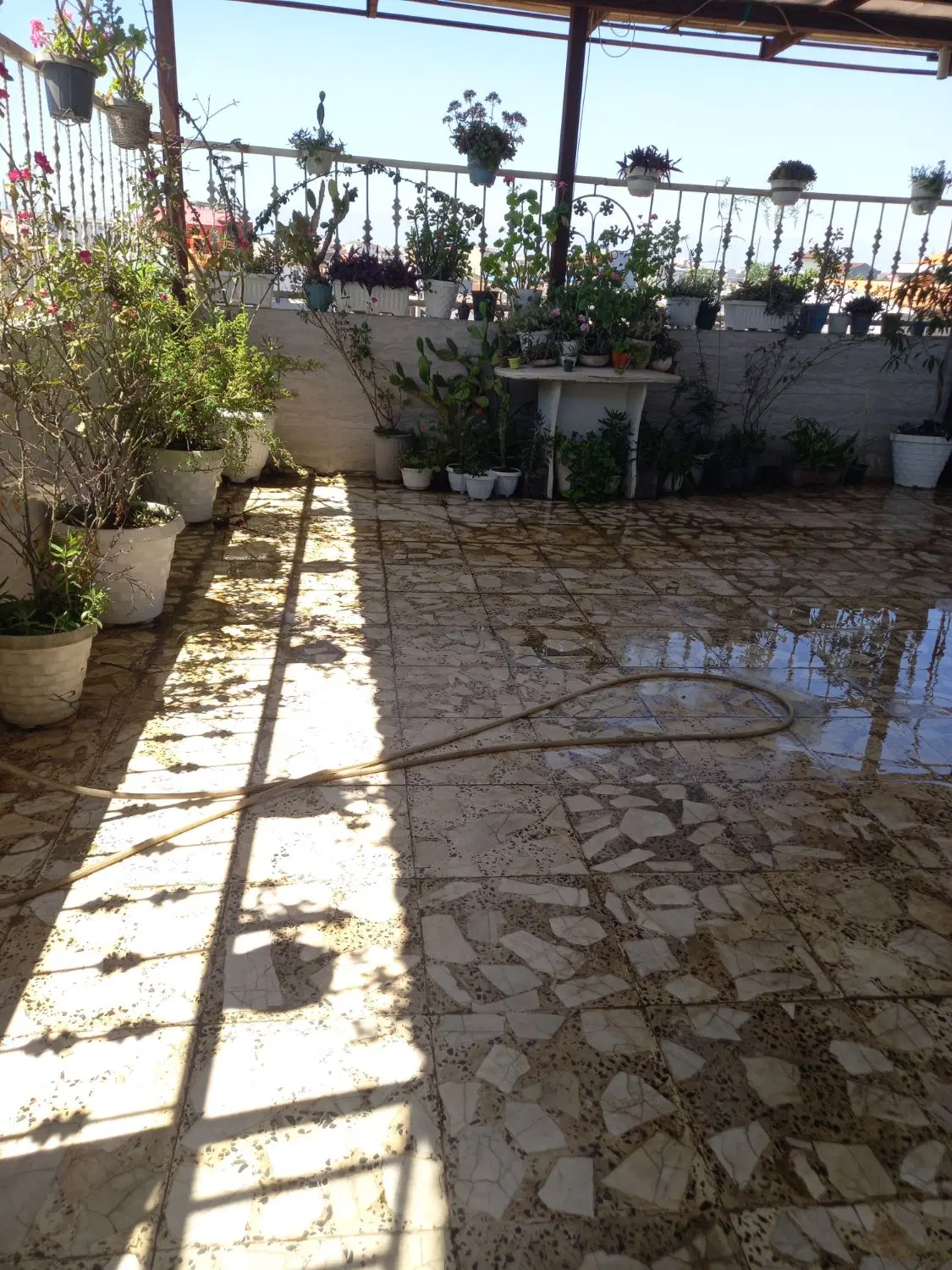 تصویر املاک 52079