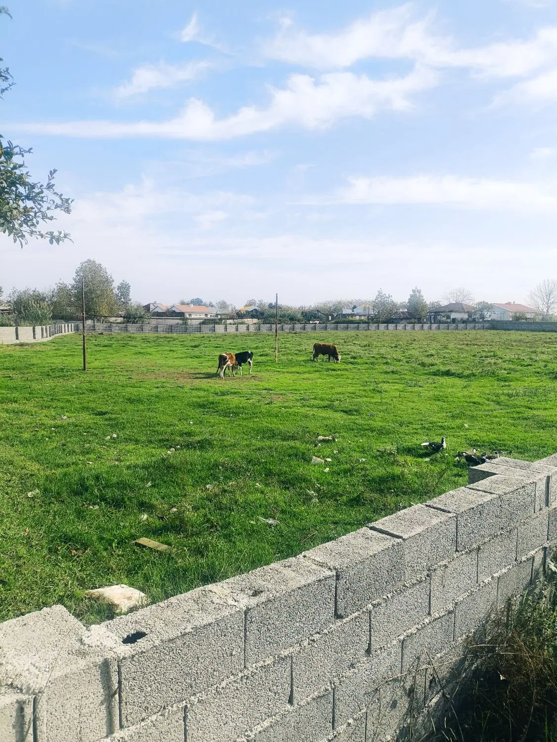 تصویر املاک 110963