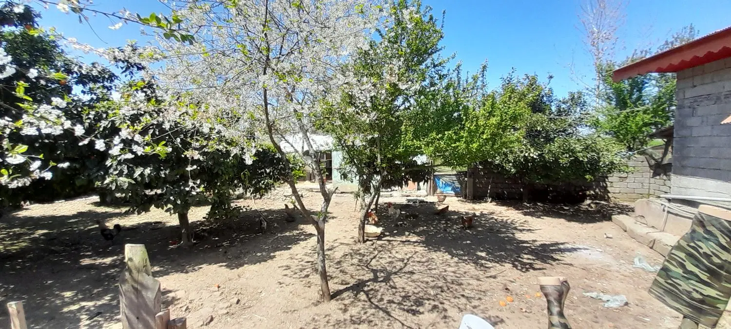 تصویر املاک 81433