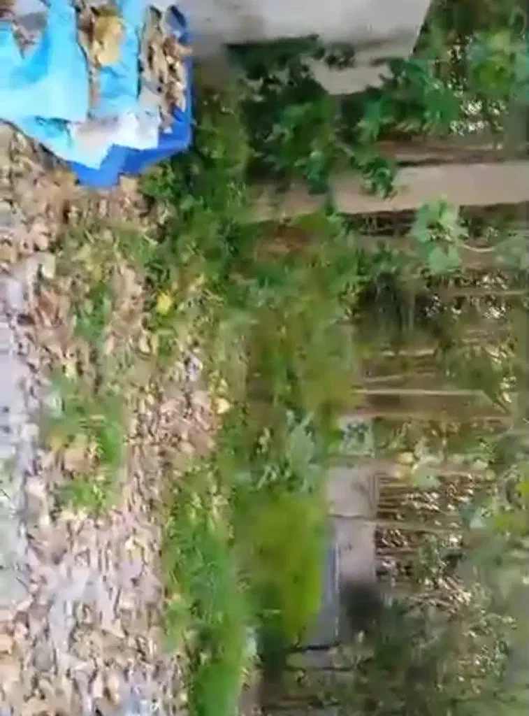 تصویر املاک 139228