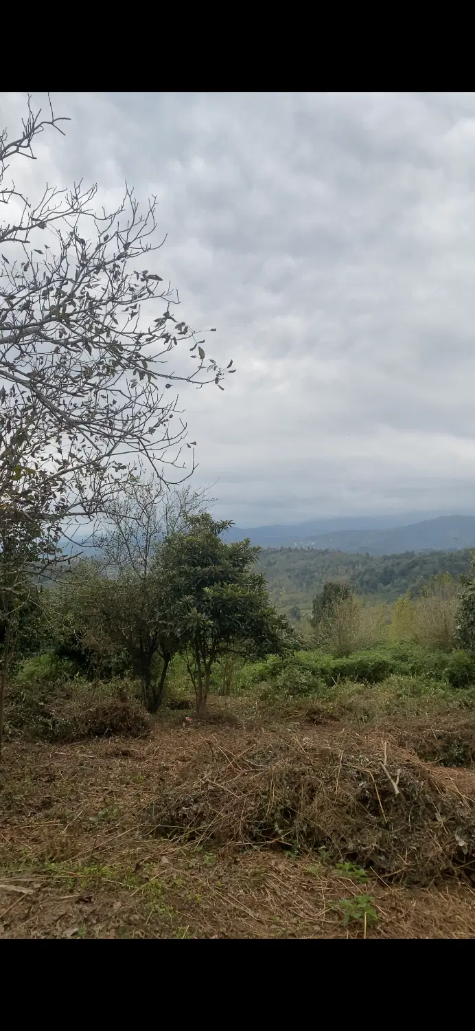 تصویر املاک 69205