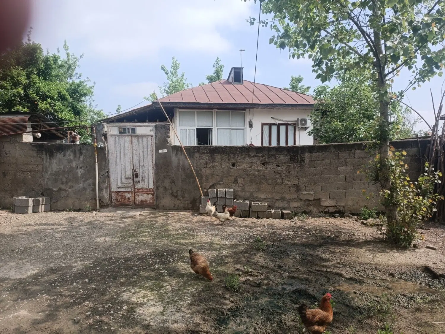 تصویر املاک 95839