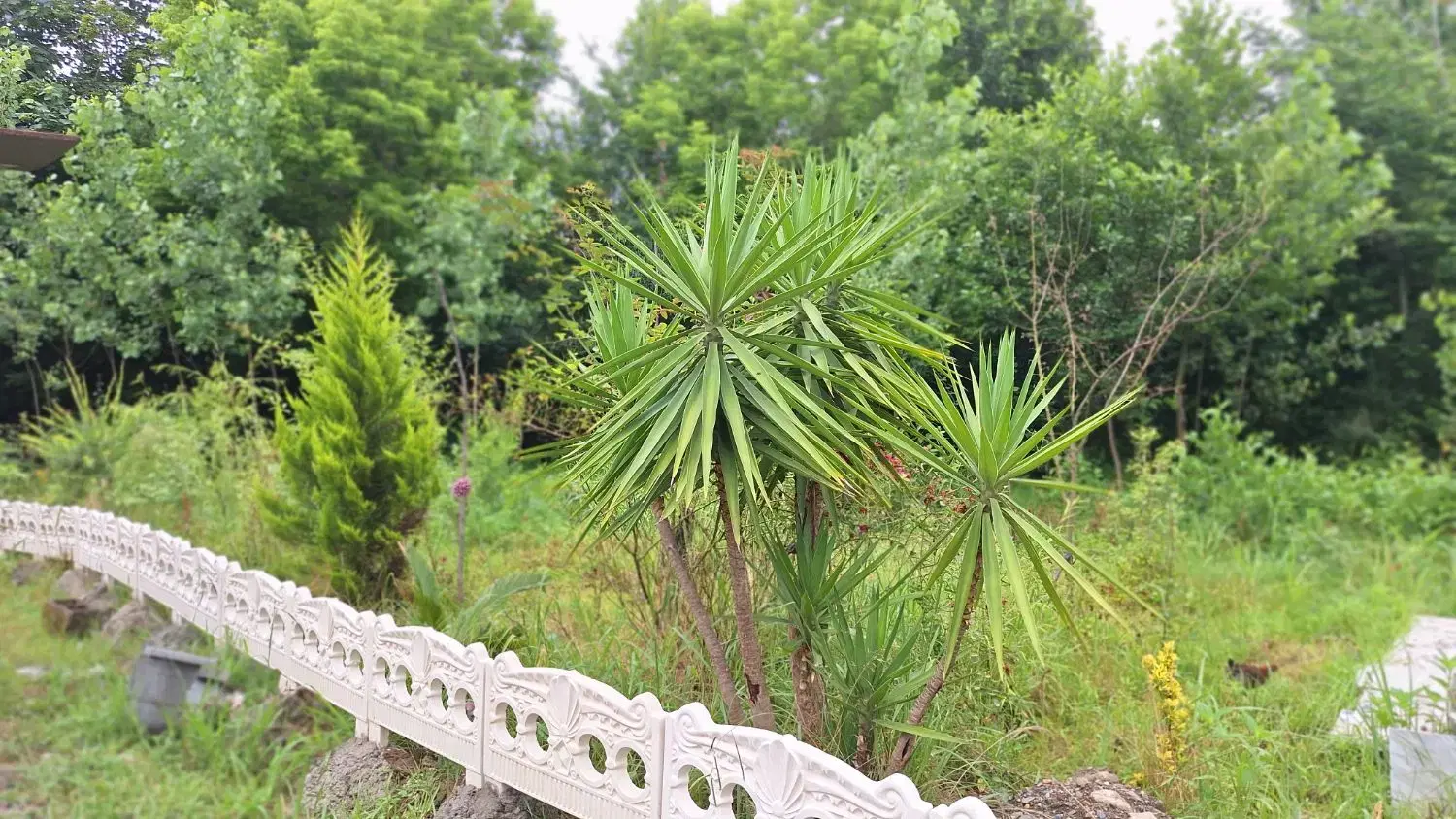 تصویر املاک 123420