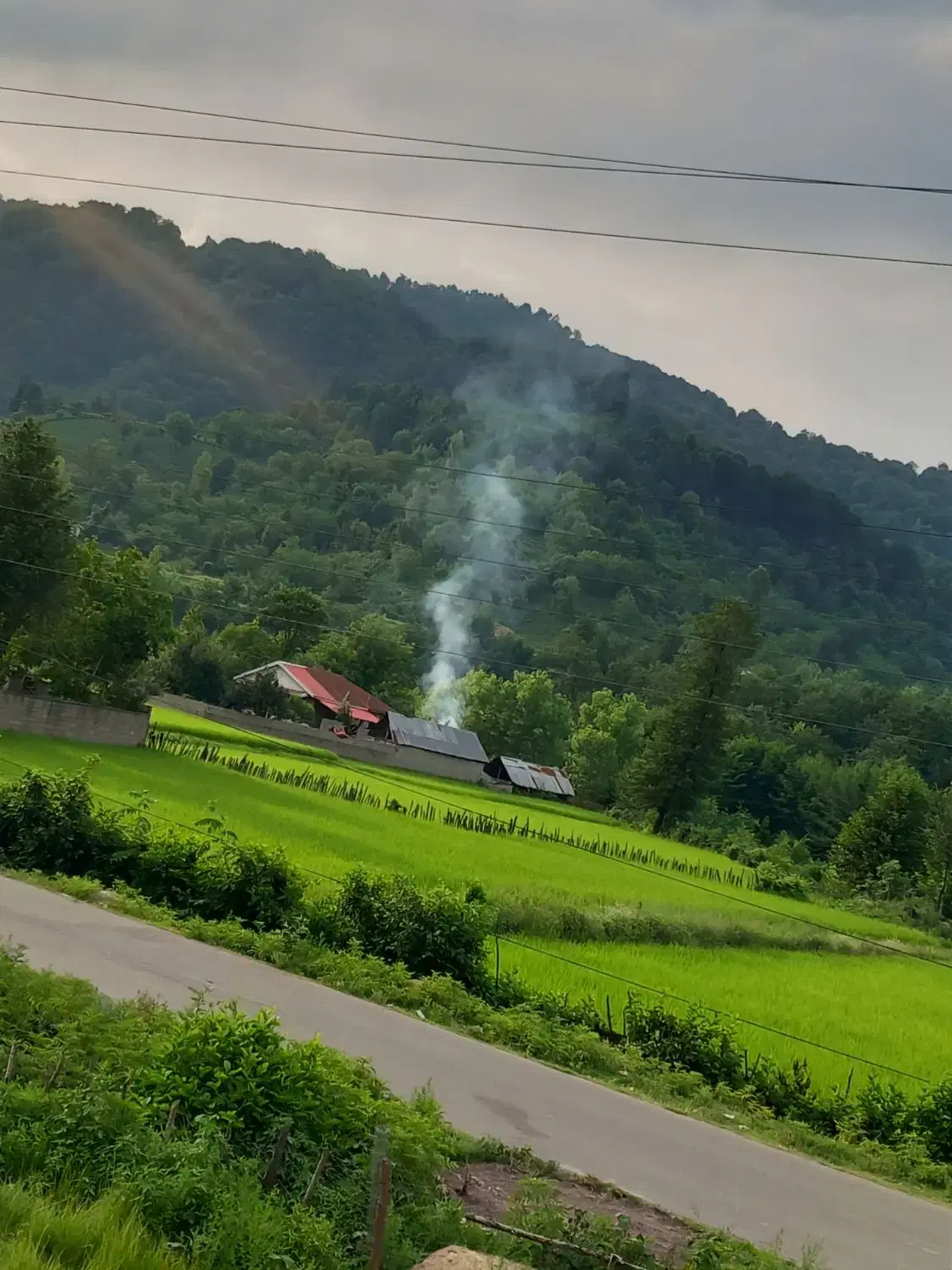 تصویر املاک 85131