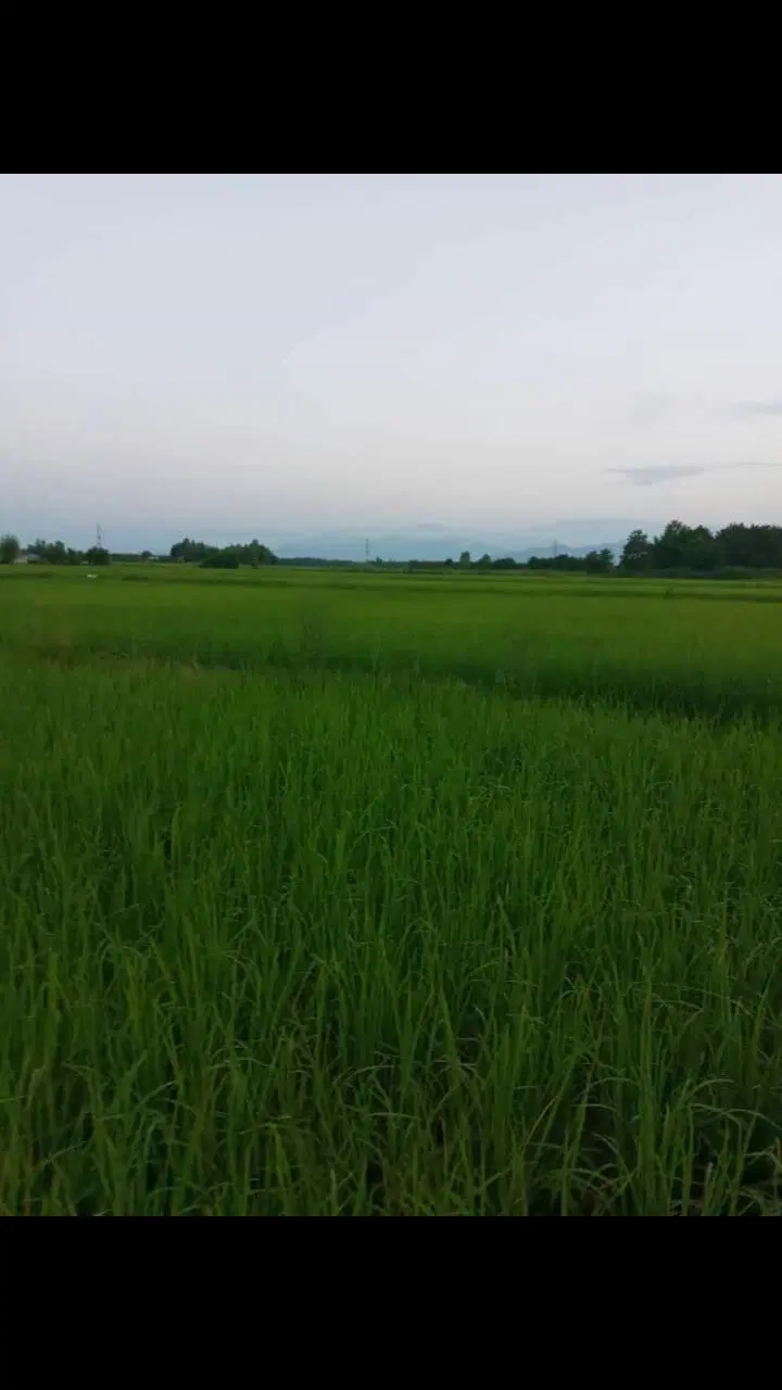تصویر املاک 98272