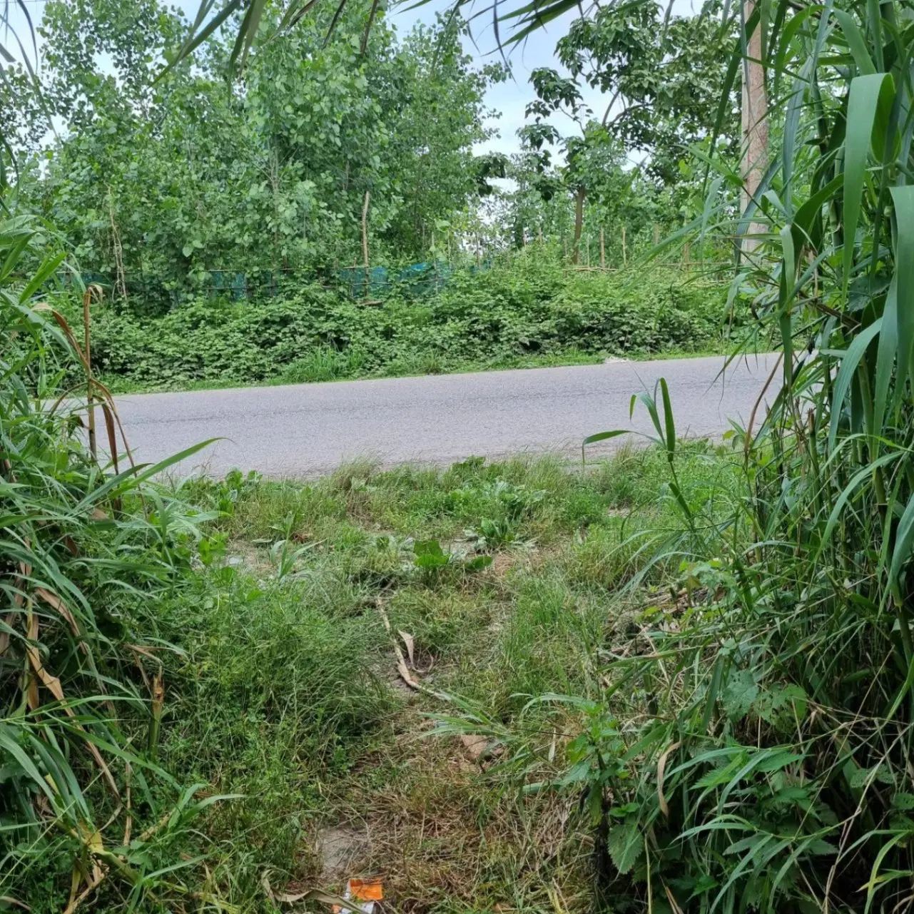 تصویر املاک 84558