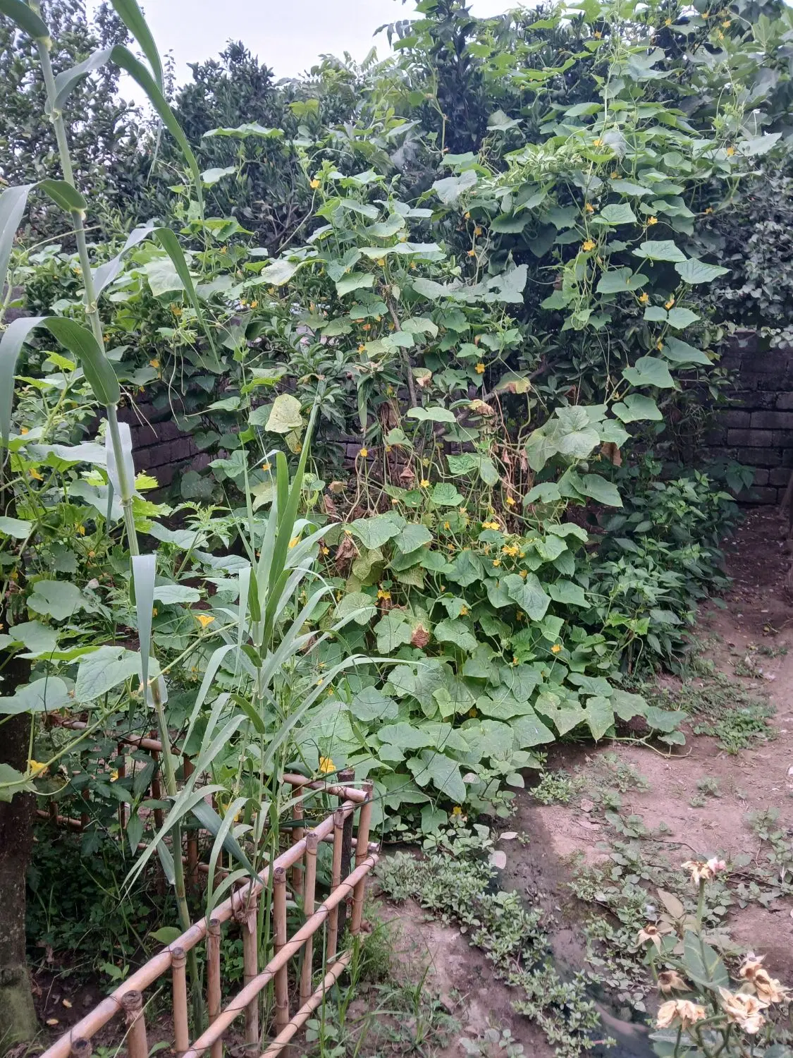 تصویر املاک 129668