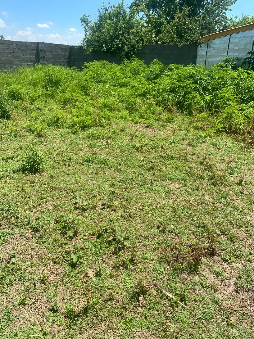 تصویر املاک 120585