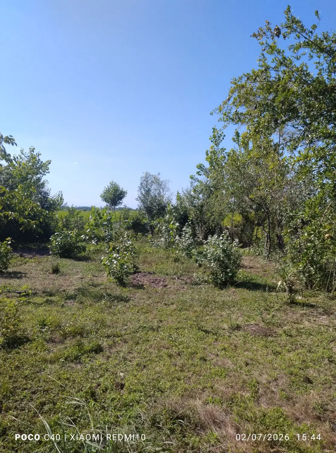 تصویر املاک 73640