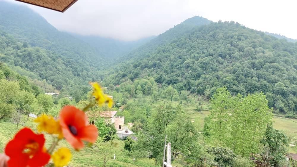 تصویر املاک 40308