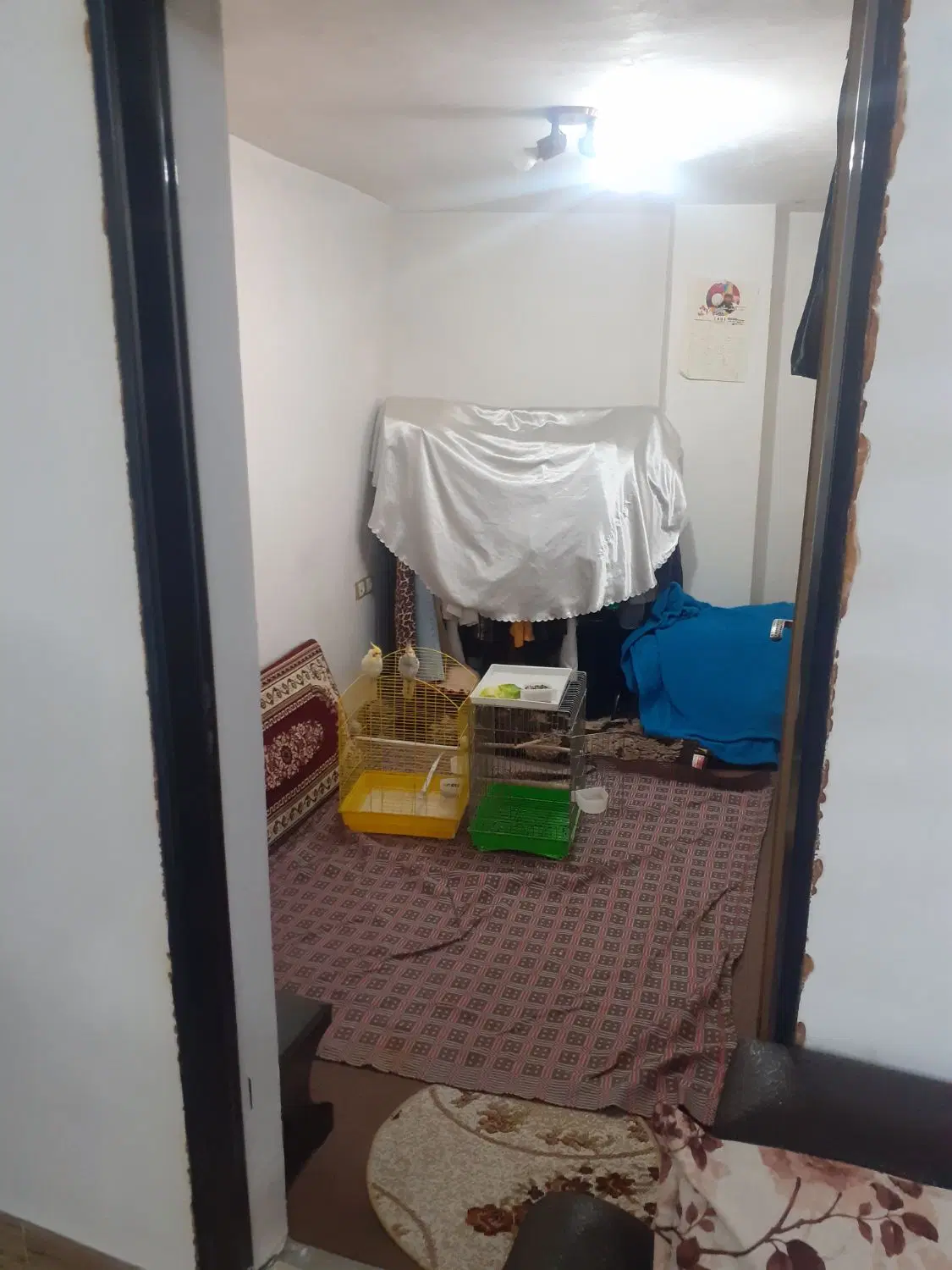 تصویر املاک 101713
