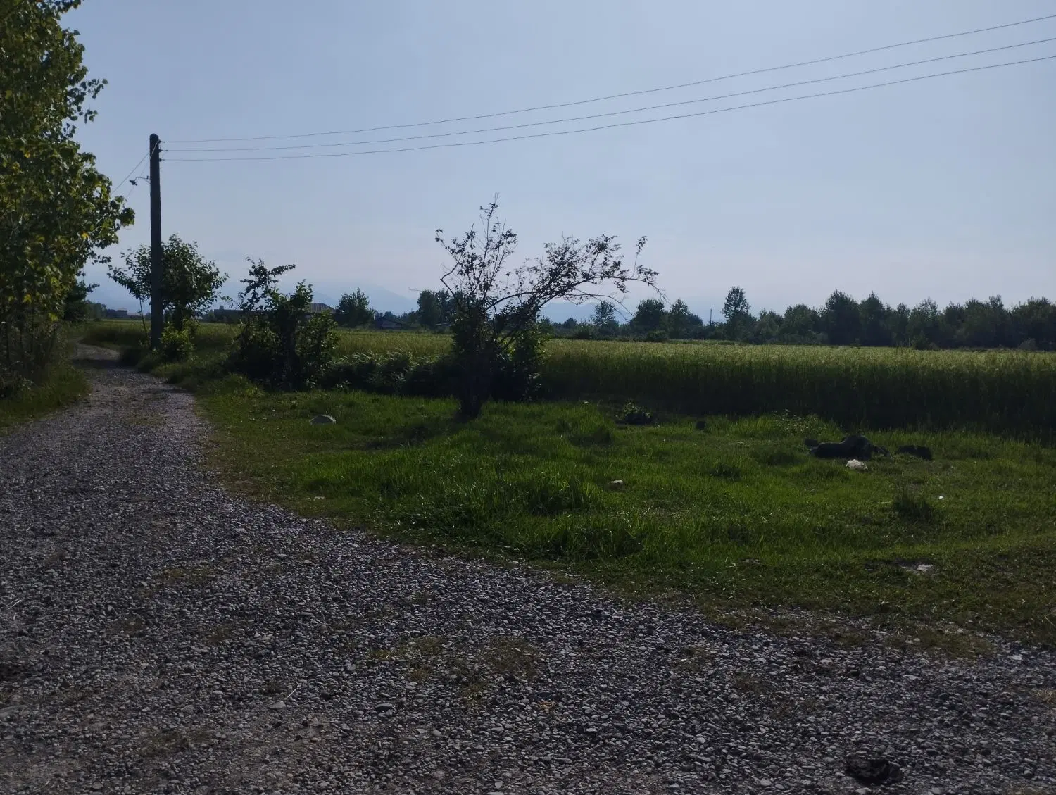 تصویر املاک 132050