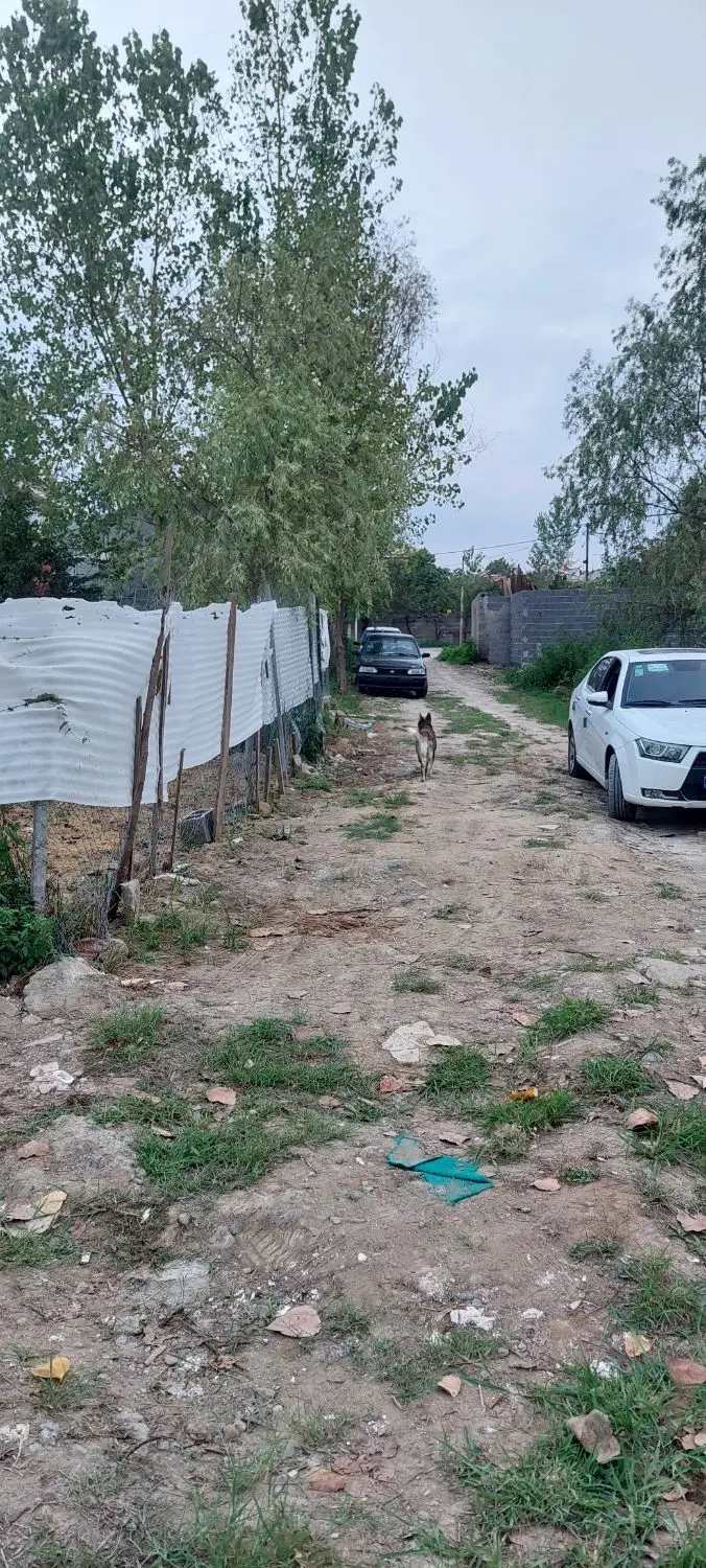 تصویر املاک 127641