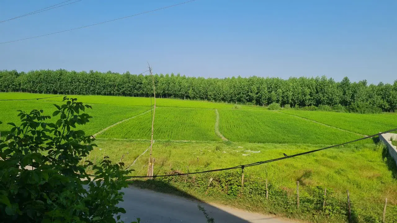 تصویر املاک 60440