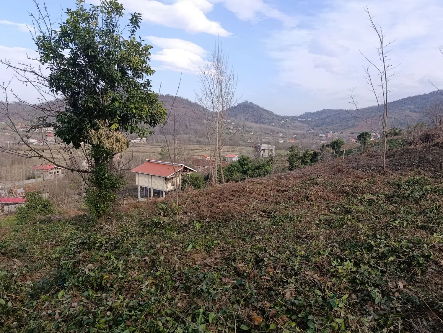 تصویر املاک 117309