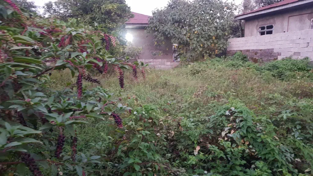 تصویر املاک 138317