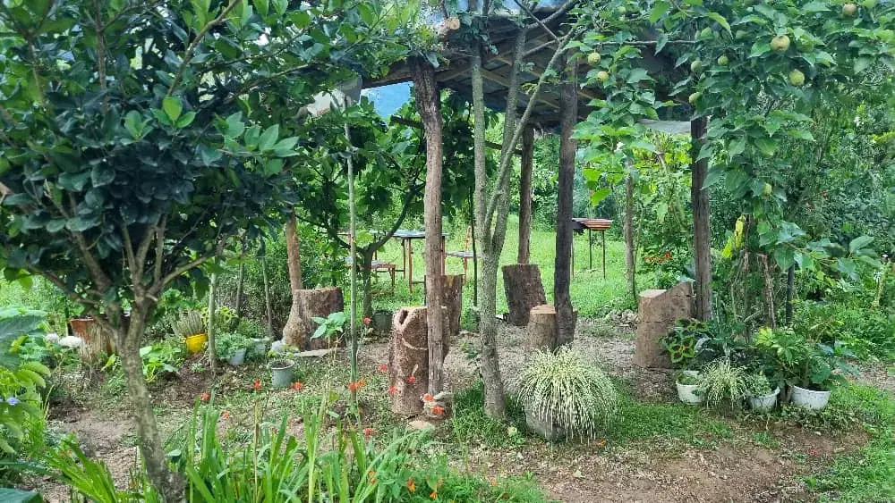تصویر املاک 87473