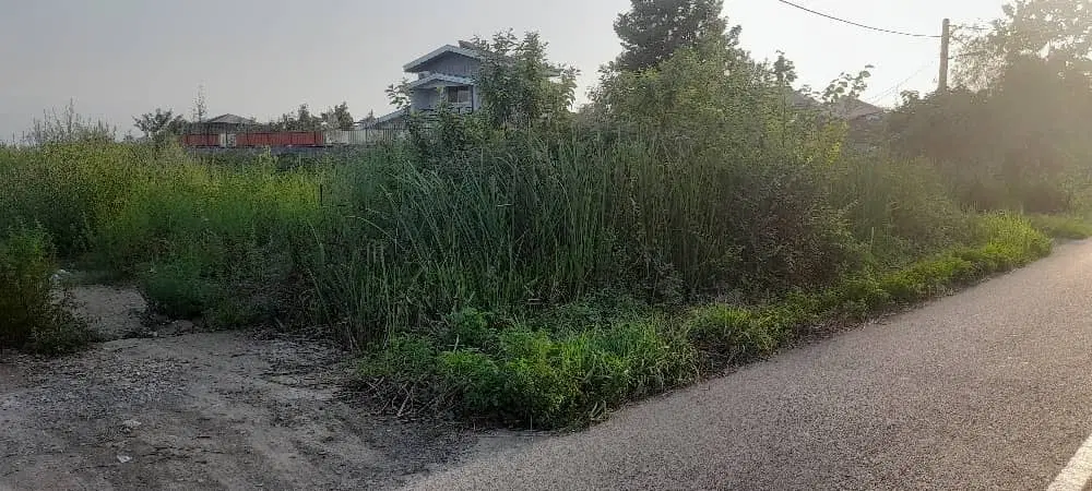 تصویر املاک 93528