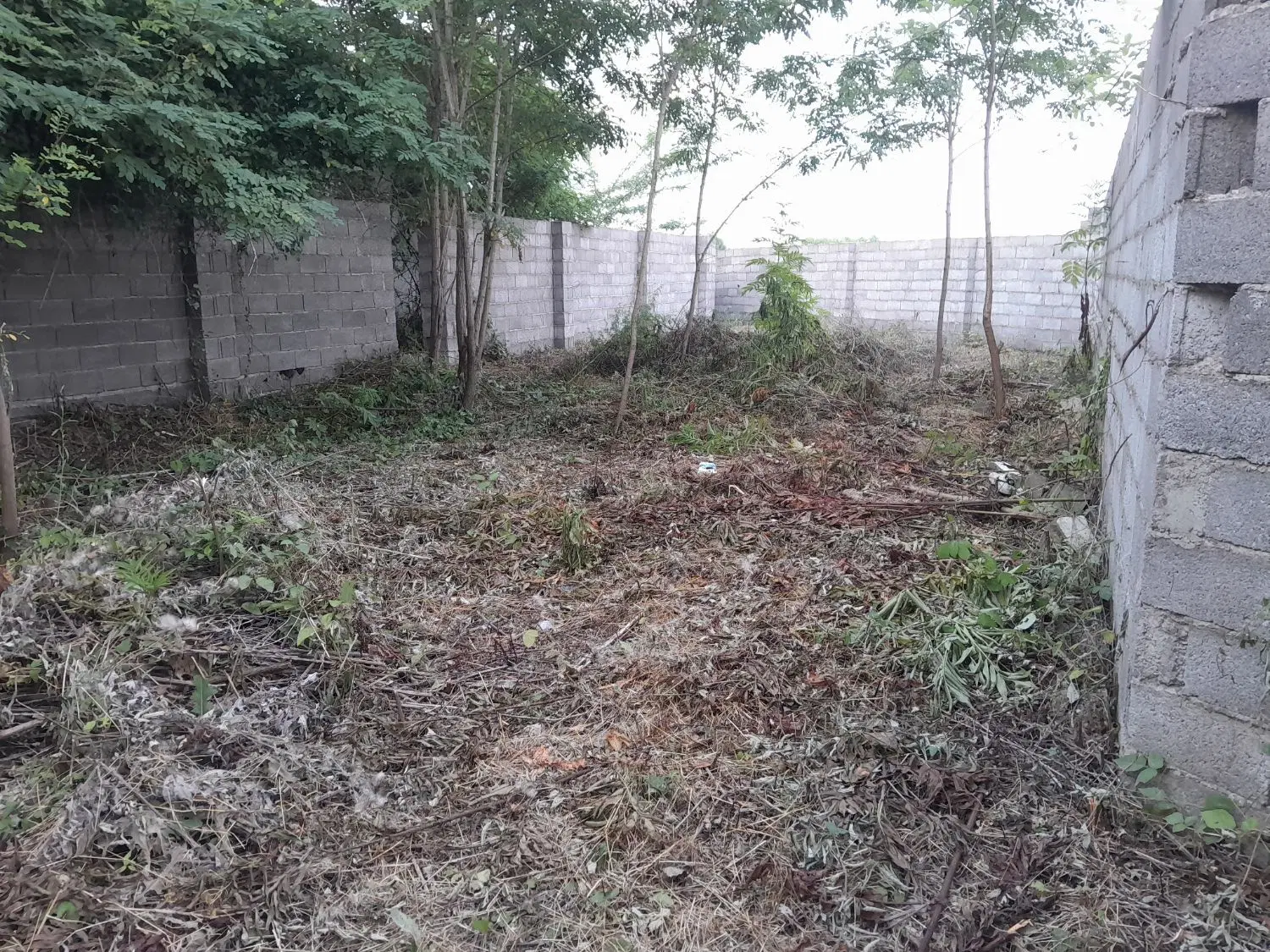 تصویر املاک 76597