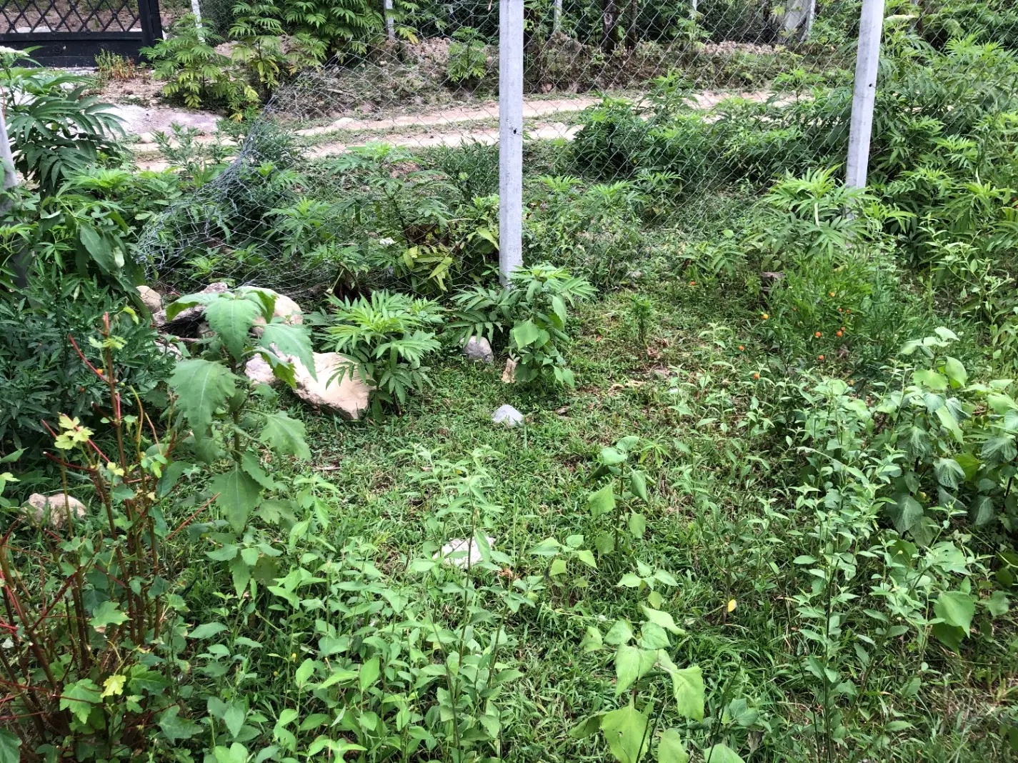 تصویر املاک 83963