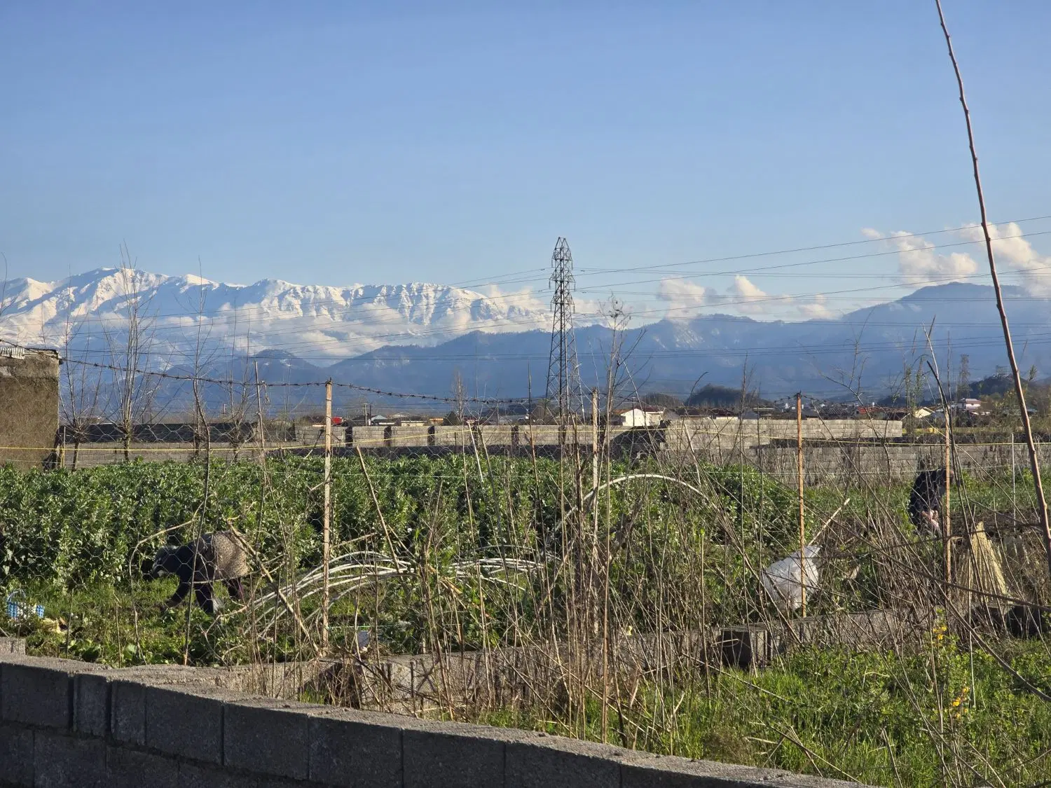 تصویر املاک 85502