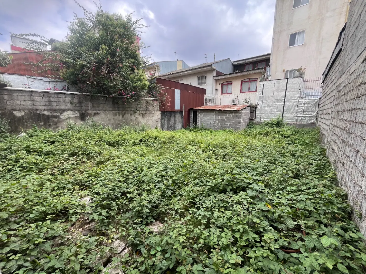 تصویر املاک 117403