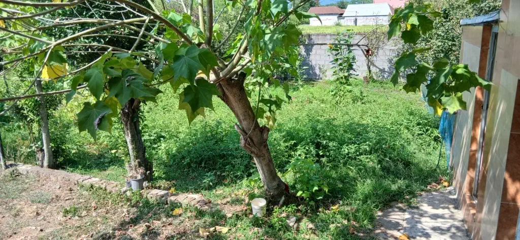 تصویر املاک 142722