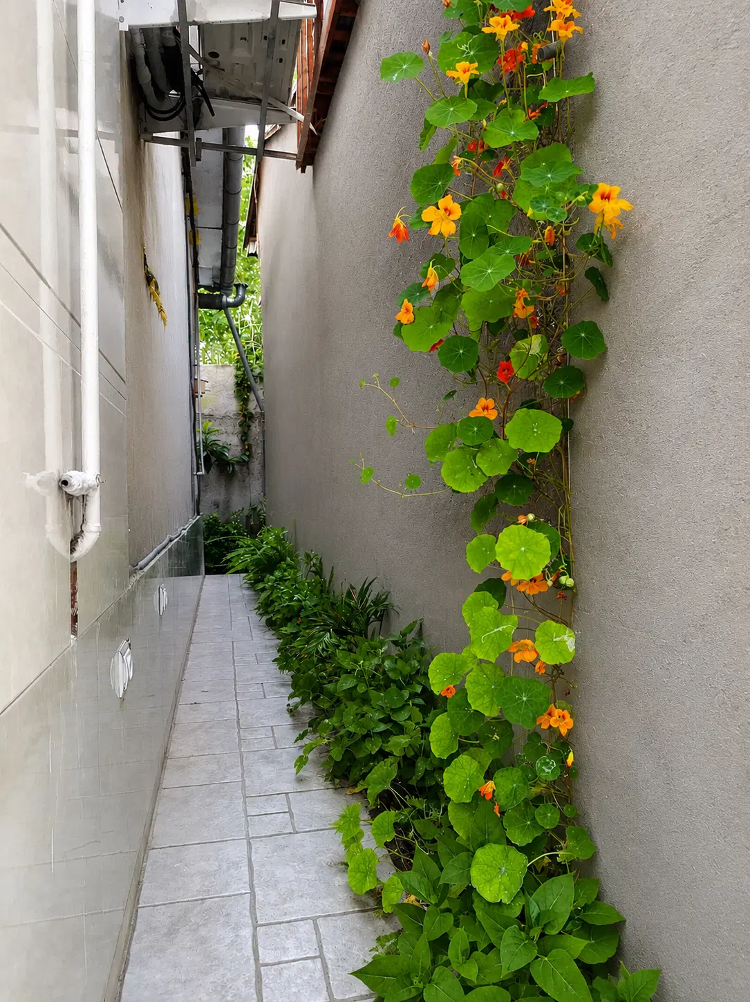 تصویر املاک 90327