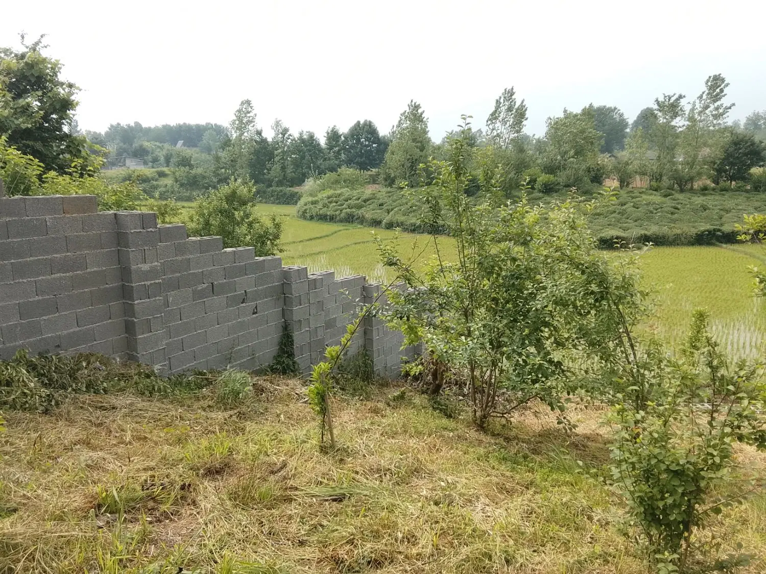 تصویر املاک 92389