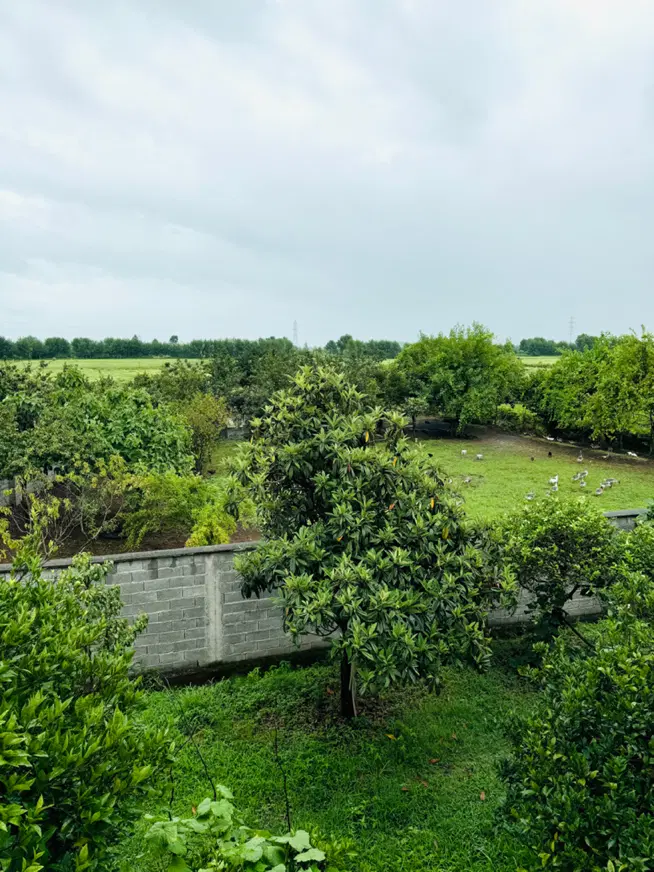 تصویر املاک 111538