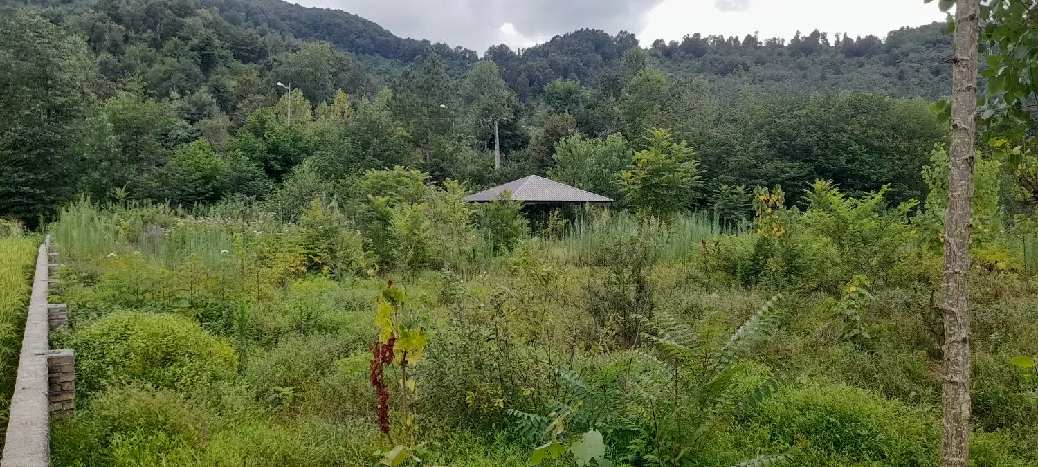تصویر املاک 113385