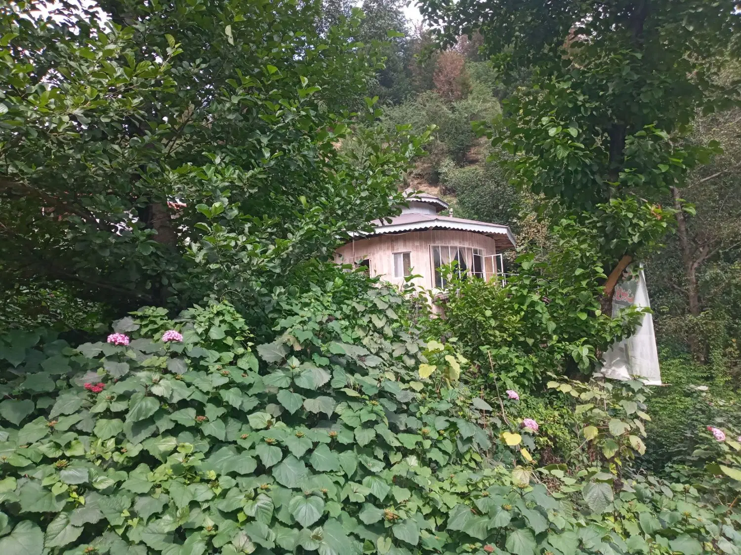 تصویر املاک 64644