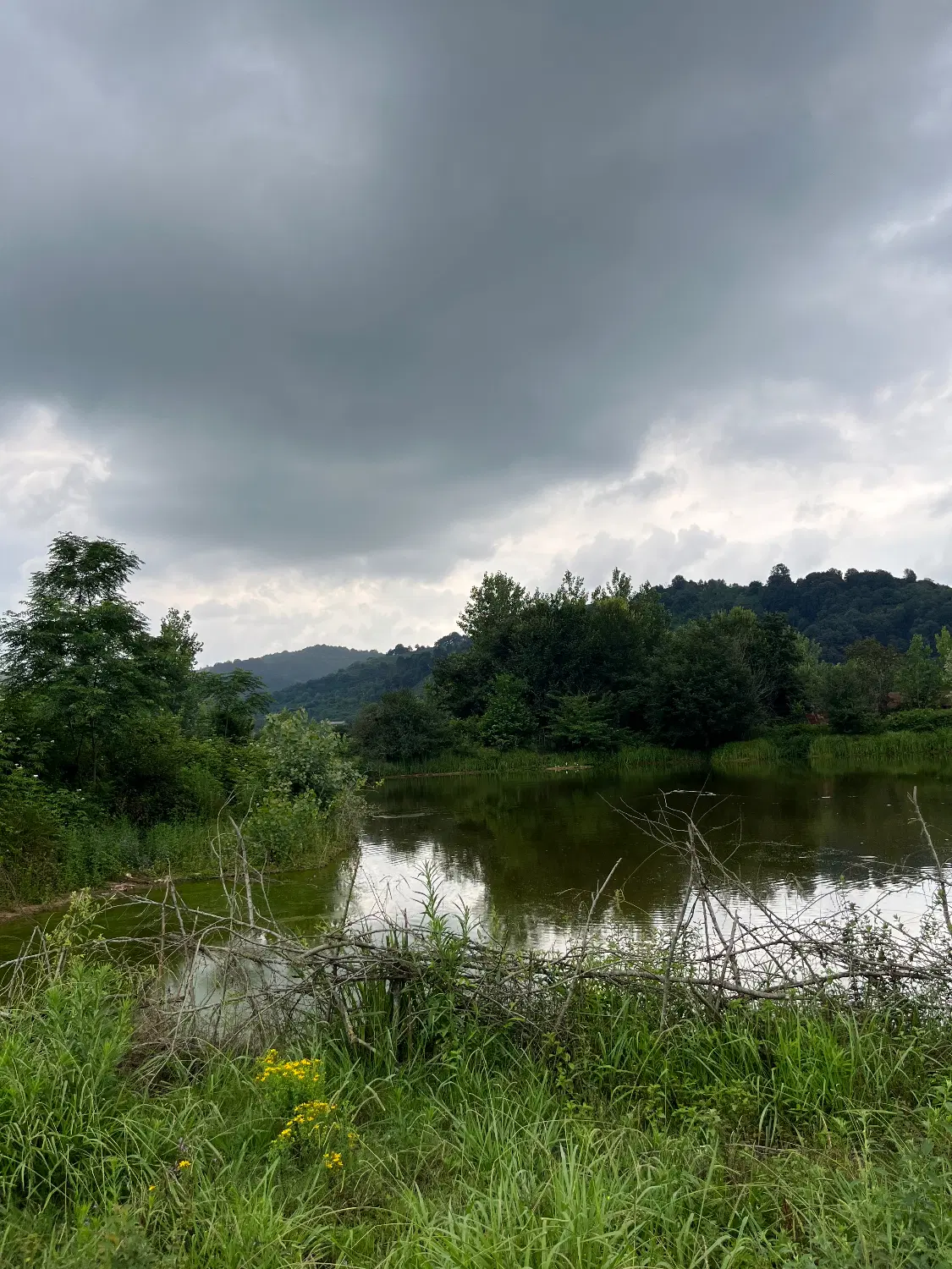 تصویر املاک 111274