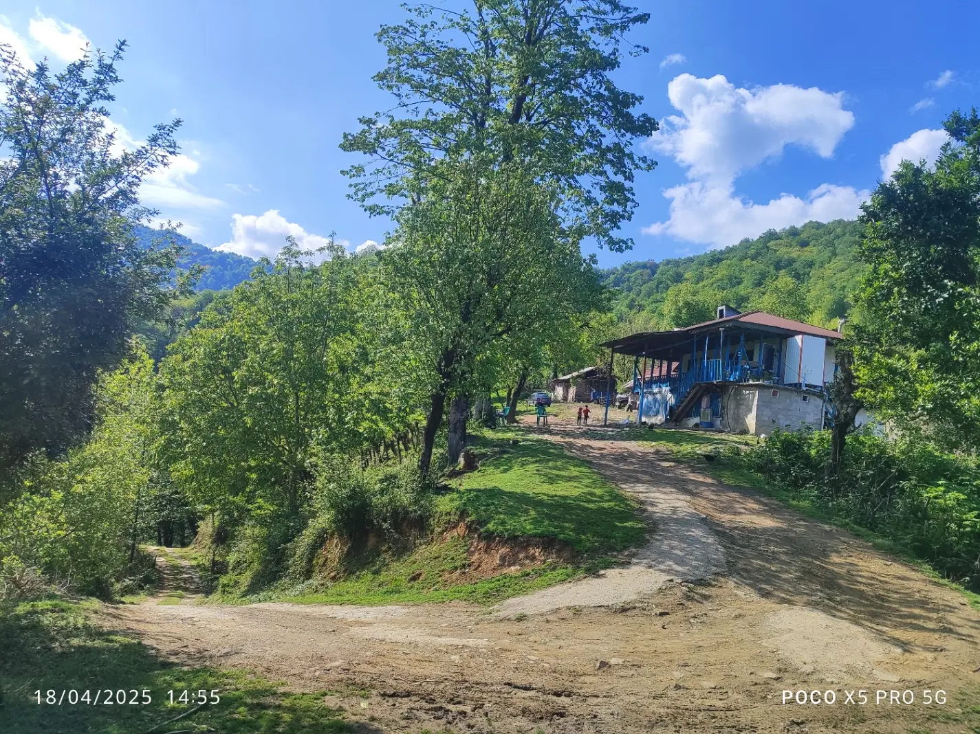 تصویر املاک 118801