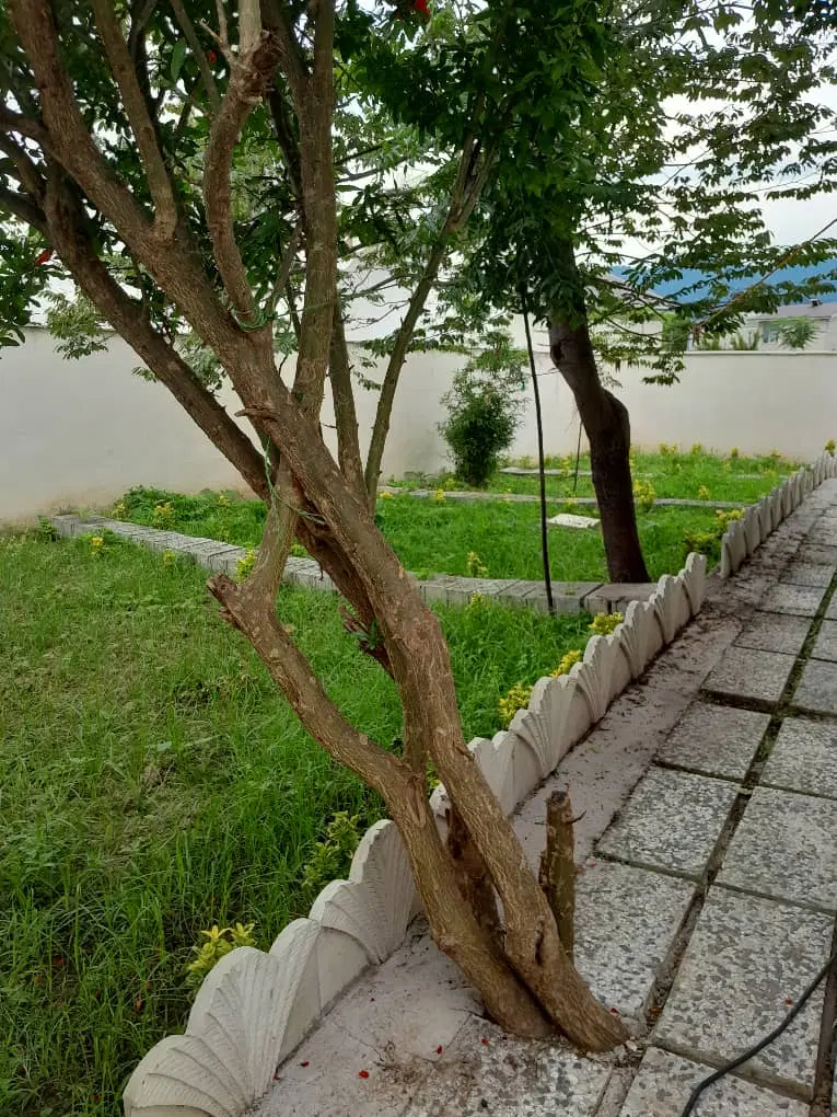 تصویر املاک 97500