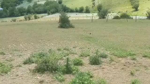 تصویر املاک 138287