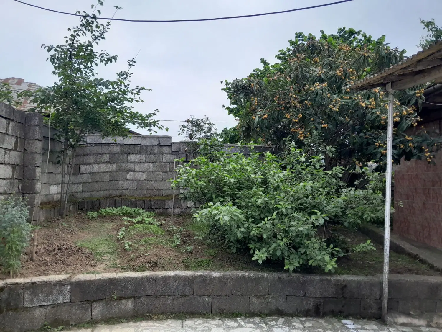 تصویر املاک 100803
