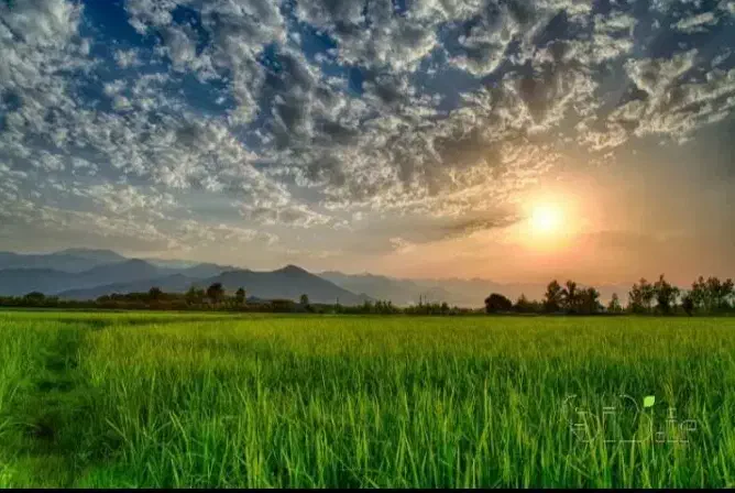 تصویر املاک 143167
