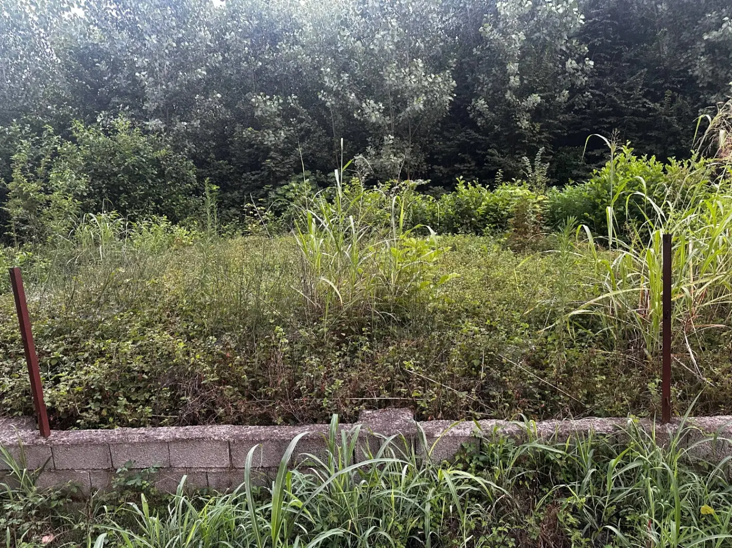 تصویر املاک 76968