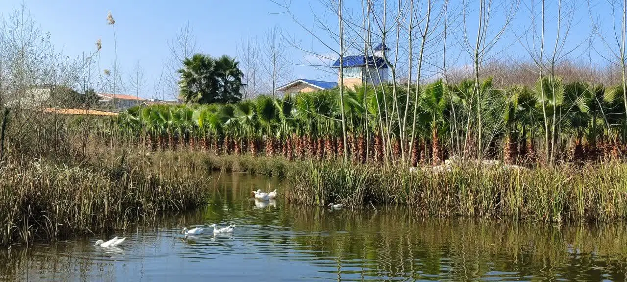 تصویر املاک 128602