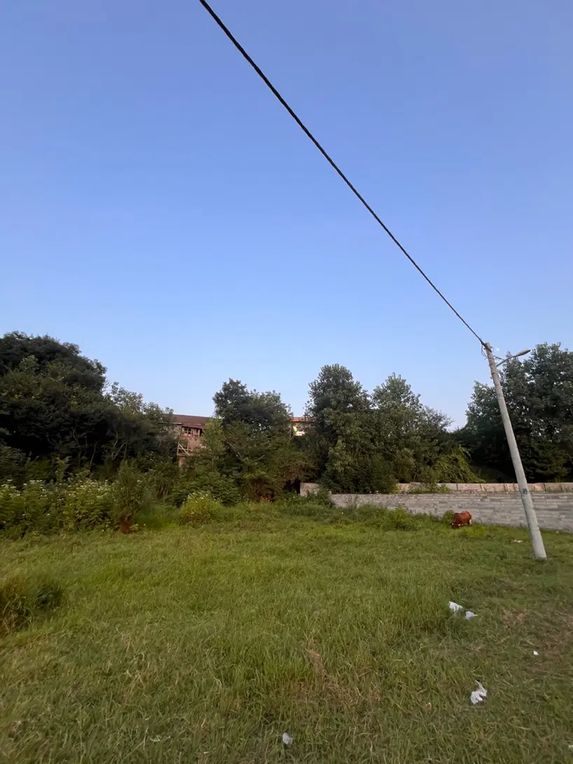 تصویر املاک 129320