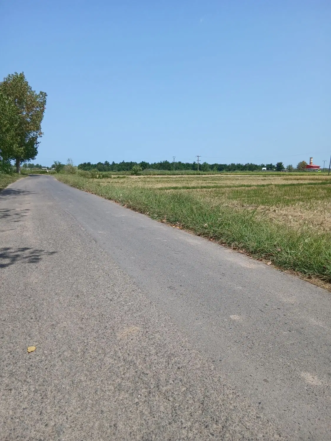 تصویر املاک 132205