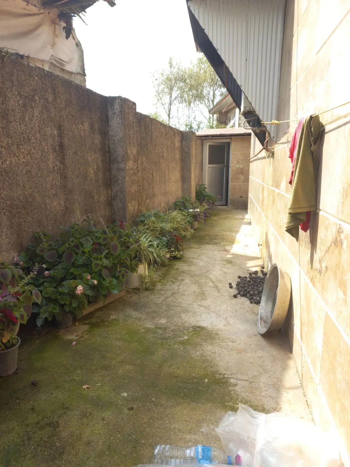 تصویر املاک 132040