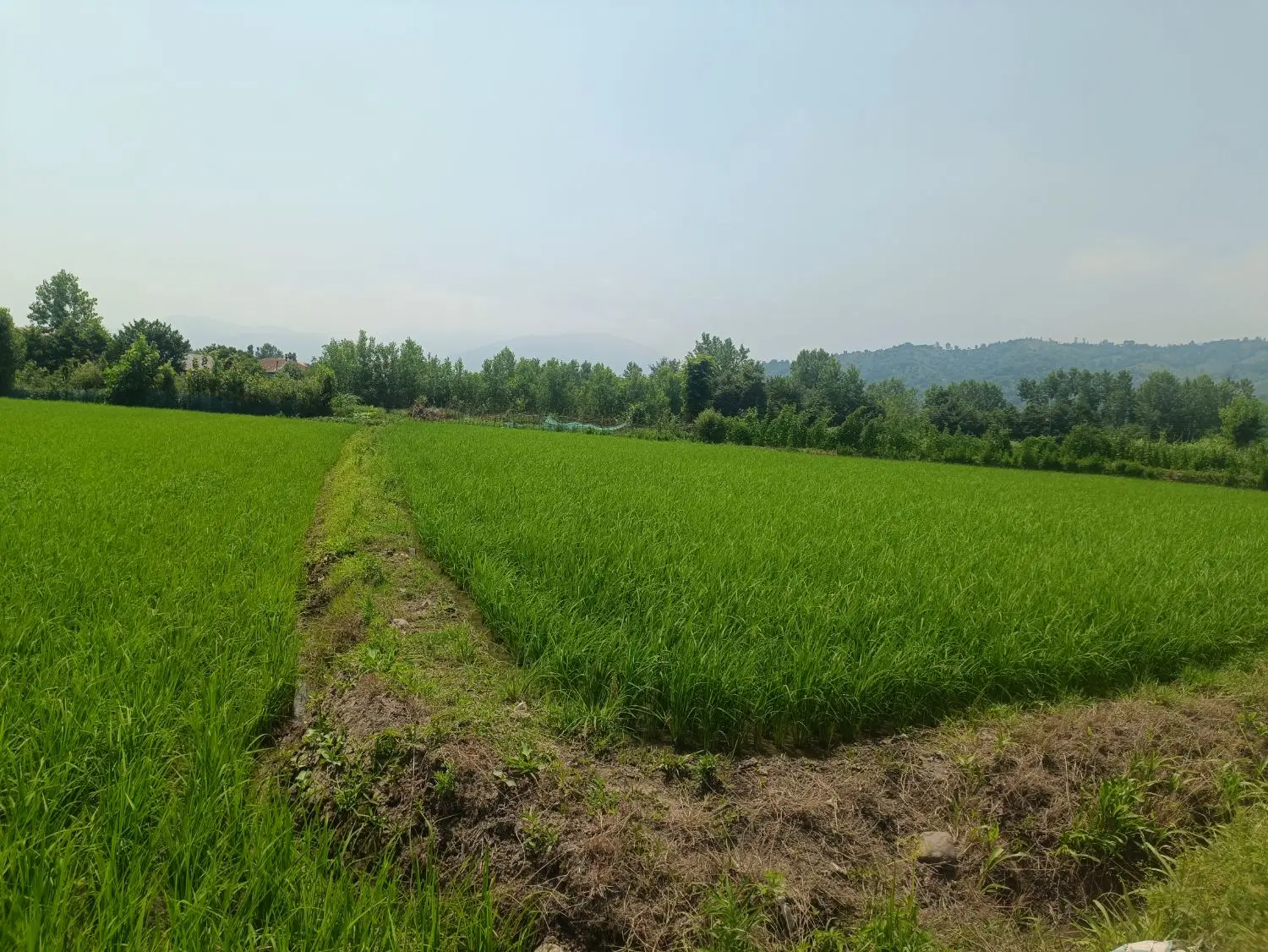 تصویر املاک 85841