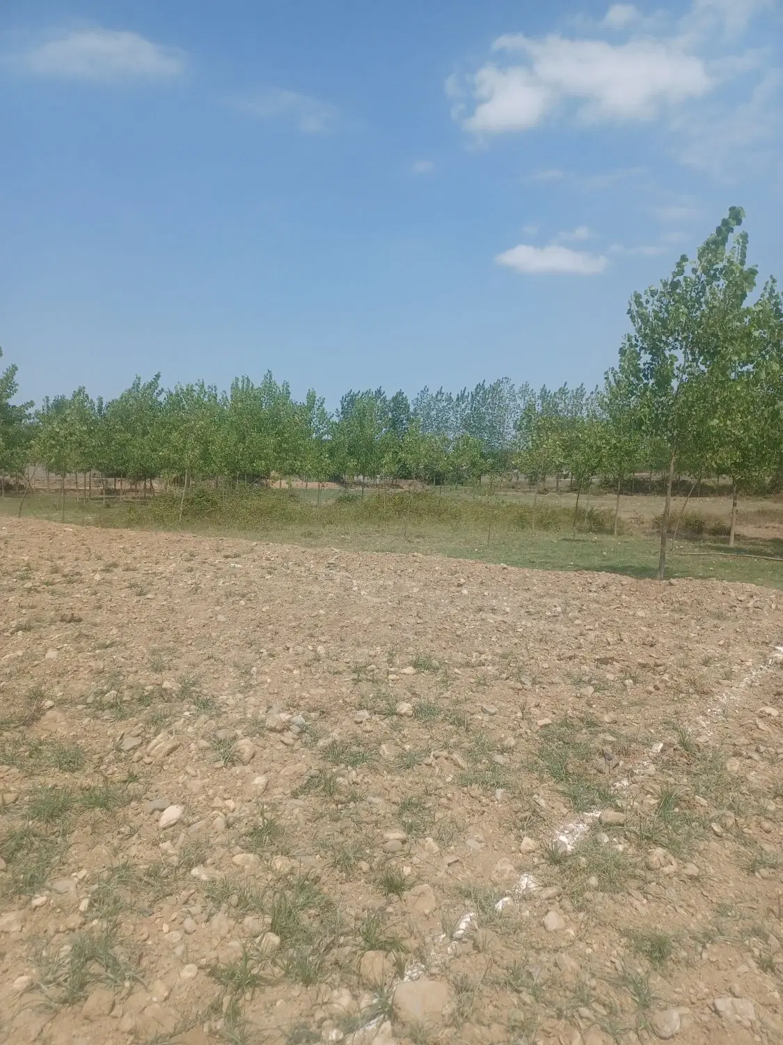 تصویر املاک 94429