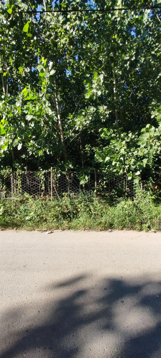 تصویر املاک 101631