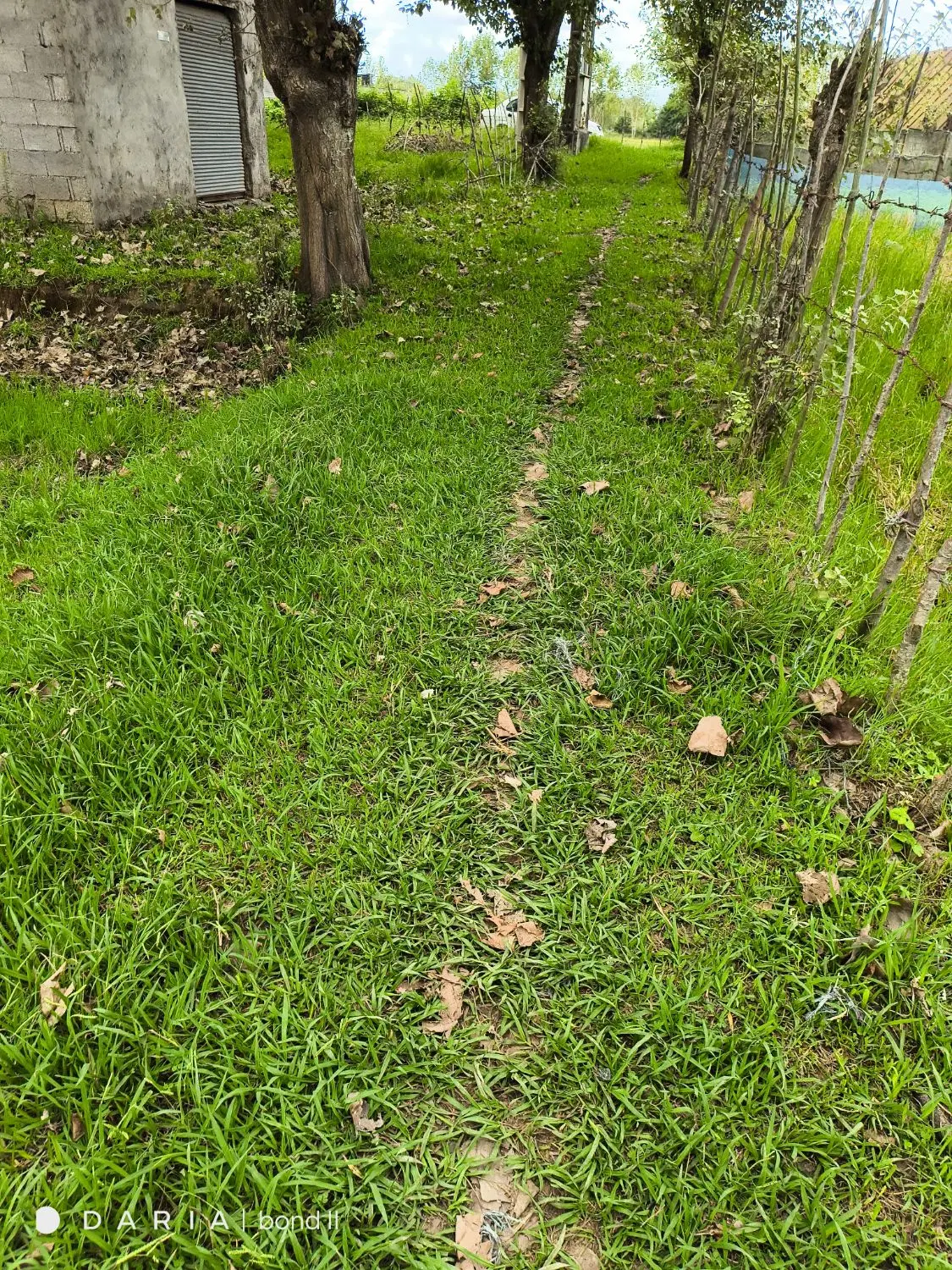 تصویر املاک 128201